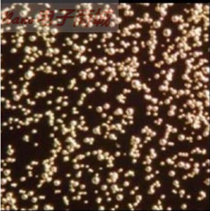 美国cospheric标准粒子二氧化硅纳米微球