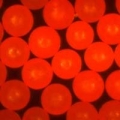 美国cospheric Fluorescent Red Polyethylene Microspheres 0.995g/cc - Various Sizes 10um to 1180um (1.2mm)